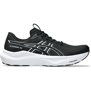 Asics GT 2000